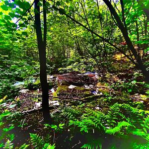 Les enveloppes rouges