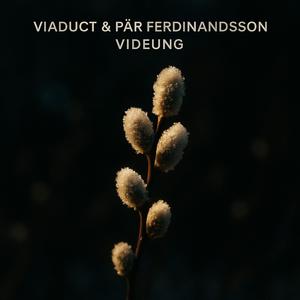 Videung