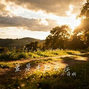 爱是本能反应（Remix）