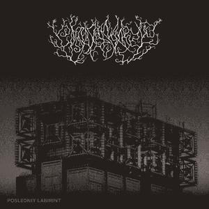 Открой мне дверь