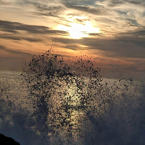 Nature Holds Secrets