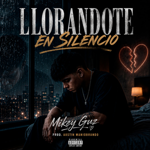 Llorandote en Silencio
