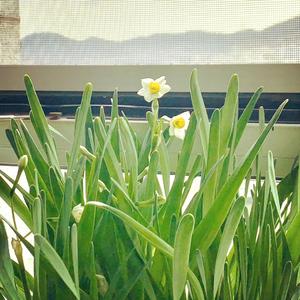 请原谅，谢谢你