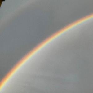 these lonley nights (feat. teddyboi)