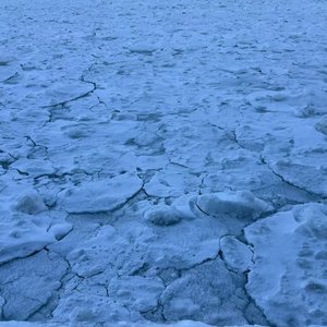 Only one（cover：Boa 中文版）