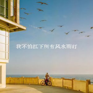 我不怕扛下所有风吹雨打