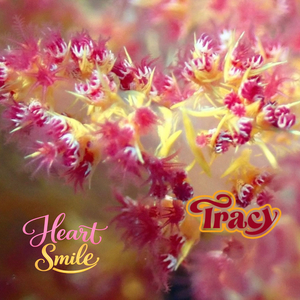 Heart Smile