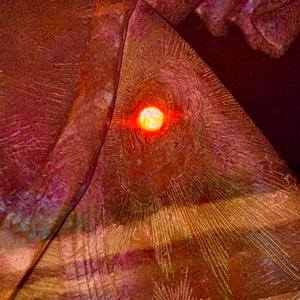 Prometheanepitaxialfungus