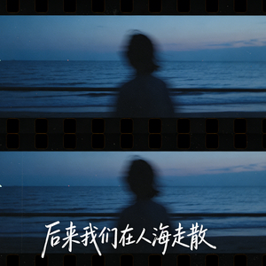 后来我们在人海走散