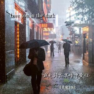 Love you in the dark (我无法在黑暗中爱你)