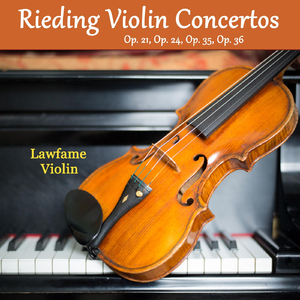 Violin Concertino in G Major, Op. 24: III. Allegro