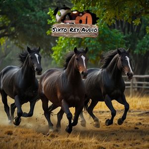 Parranda en los Morocheros