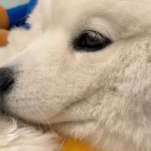 遇见即永恒