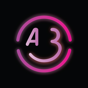 A3