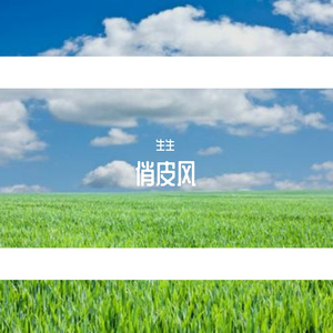 俏皮春风