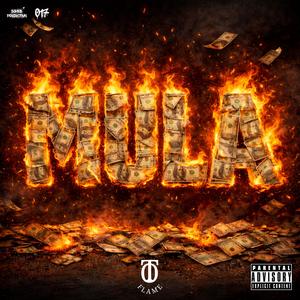 Mula