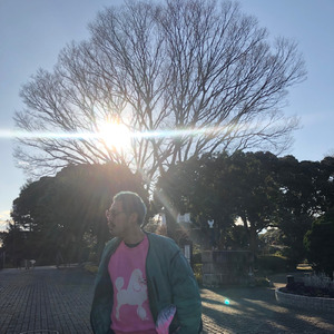 ユグドラシルのフールたち