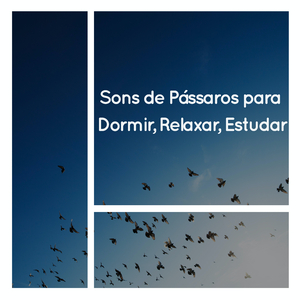 Sons de Pássaros