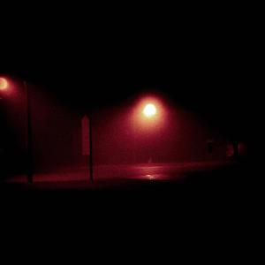 The Dead Rise