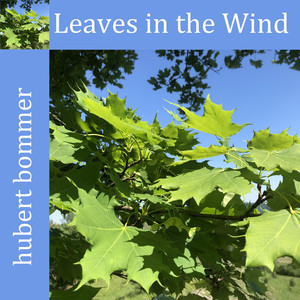 Leaves in the Wind