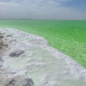 两个人的真情GHVC