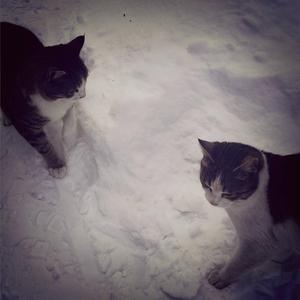 Under Her Spell (feat. Mare)