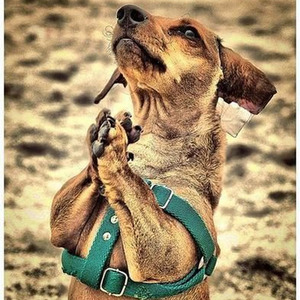 Me & My Baby (slowed)