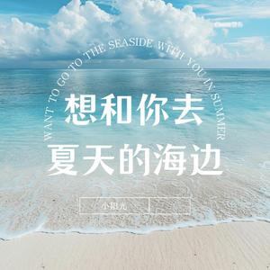 想和你去夏天的海边
