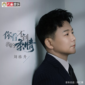 你看不到我的柔情