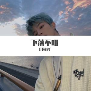 艾辰-谁与归（DJ苏鹤版）（DJ苏鹤 remix）