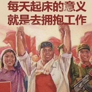 25岁碌碌无为社畜现状