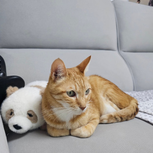 The Greatest Gift of My Life (To. Semo)