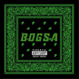 Bogsa
