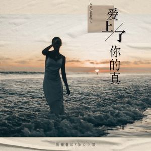 爱上了你的真