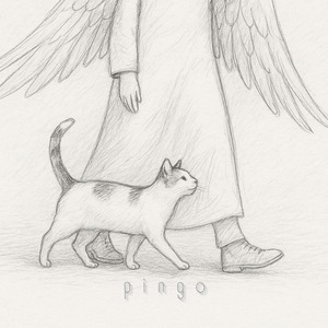 Pingo