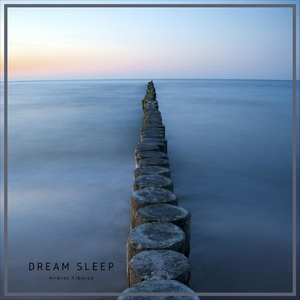 Dream Sleep
