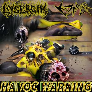HAVOK WARNING (feat. Kamiyada+)