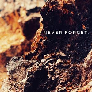 NEVER FORGET.