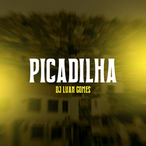 Picadilha