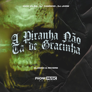 A Piranha Não Ta de Gracinha - Slowed & Reverb
