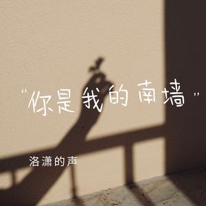 你是我的南墙