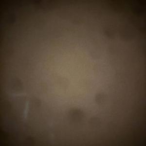 Ballad of Rodney Alcala, or something