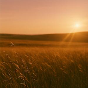 Meadowlark
