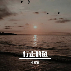 行走的鱼（完整女版）