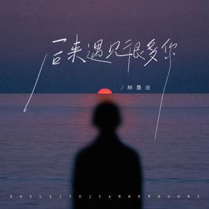 后来遇到很多你