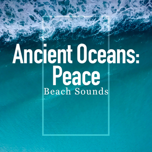 Swirling Tide Forests