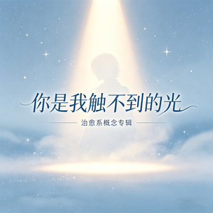 你是我触不到的光