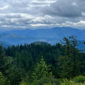 AT WHAT CAUSE (Insturmental)