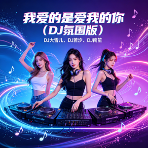 我爱的是爱我的你（DJ氛围版）