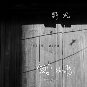 野风（Wild Wind）